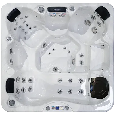 Avalon EC-849L hot tubs for sale in Sioux City